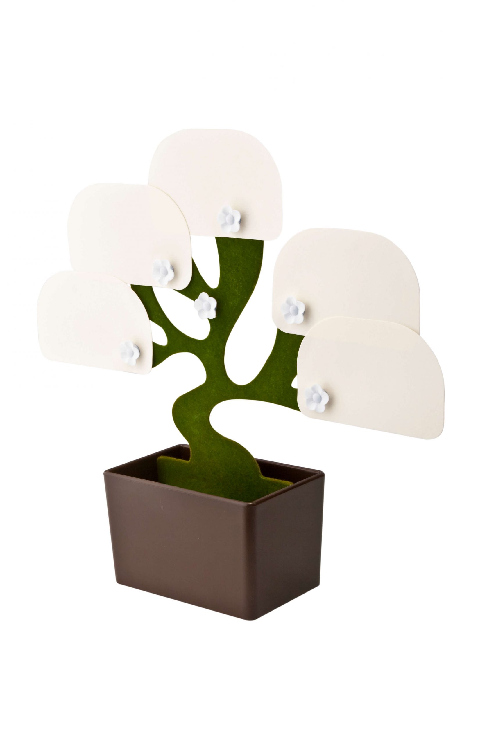 Catalog image