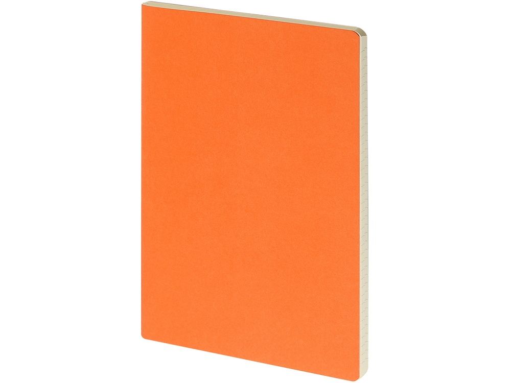 Catalog image