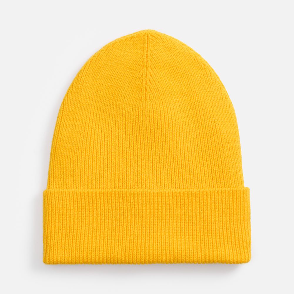 Catalog image