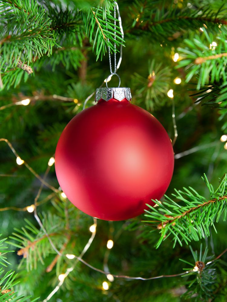 Catalog slider image