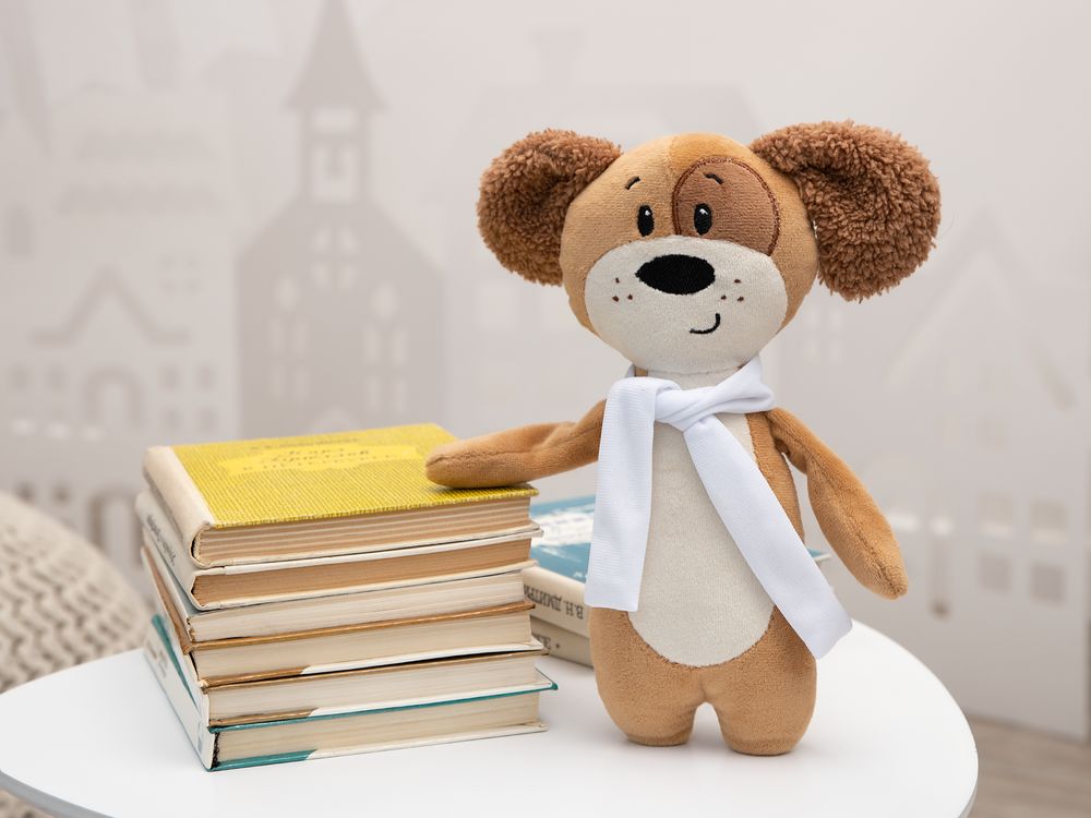 Catalog slider image