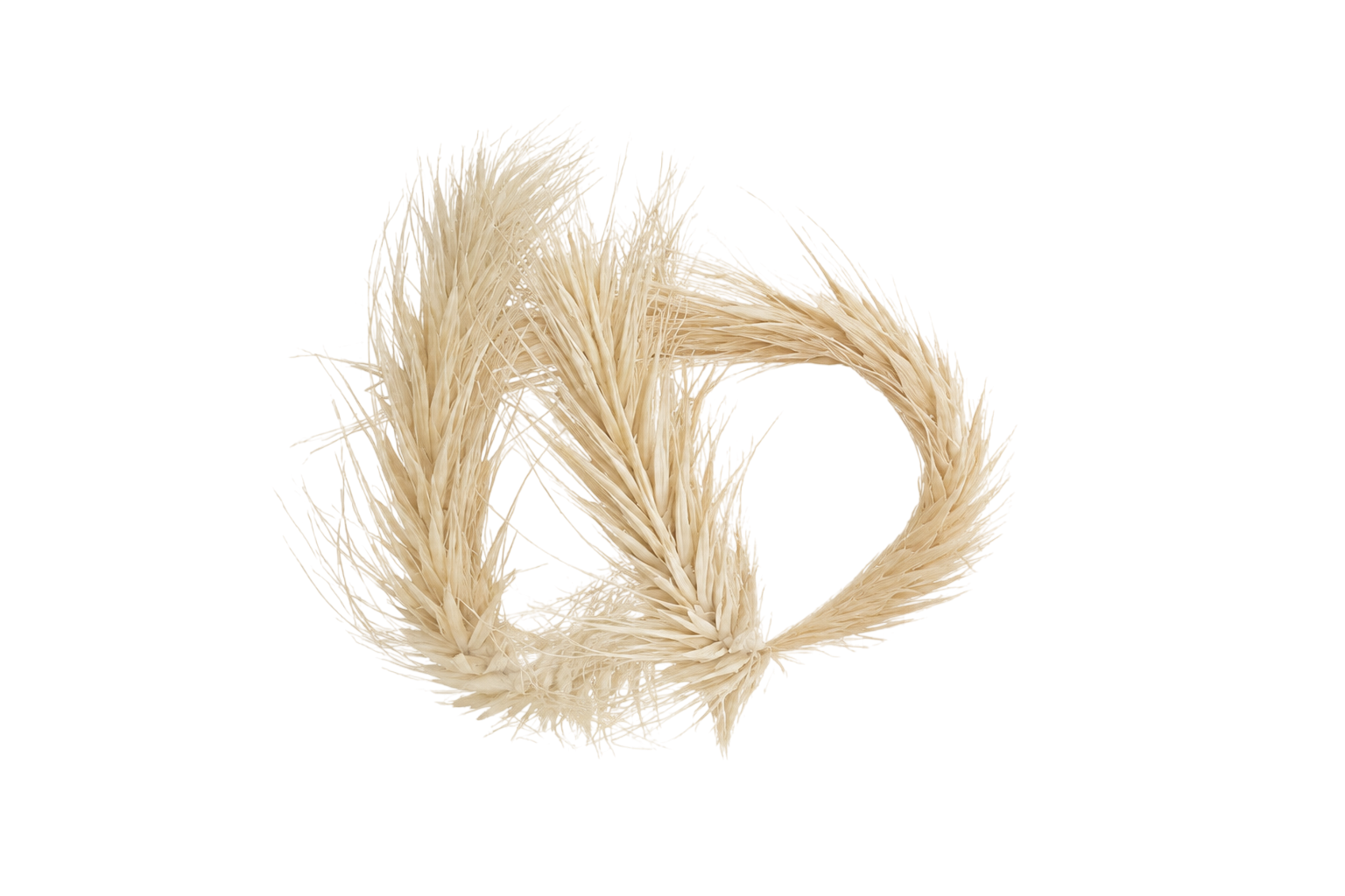 Catalog image