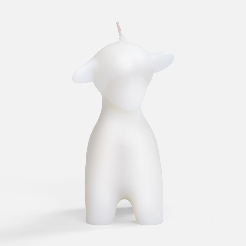 Catalog slider image